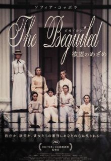 دانلود فیلم فریب خورده The Beguiled 2017 با دوبله و زیرنویس فارسی چسبیده