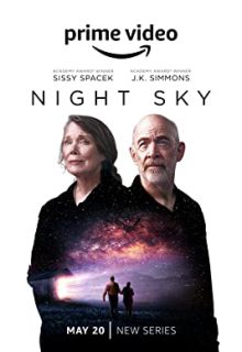 دانلود سریال آسمان شب Night Sky 2022 فصل اول قسمت 1 تا 7 با دوبله و زیرنویس فارسی چسبیده