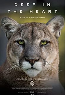 دانلود فیلم در اعماق قلب: داستانی از حیات وحش تگزاس Deep in the Heart: A Texas Wildlife Story 2022 ✔️ با دوبله و زیرنویس فارسی چسبیده