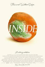 دانلود فیلم اینساید Inside 2023 (داخل) ✔️ با زیرنویس فارسی چسبیده