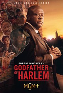 دانلود سریال پدرخوانده هارلم Godfather of Harlem 2019 فصل اول 1 ✔️ با زیرنویس فارسی چسبیده