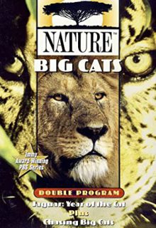 دانلود سریال یک هفته با گربه‌سانان Chasing Big Cats 2004 فصل اول 1 ✔️ با زیرنویس فارسی چسبیده