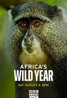 دانلود سریال سال حیات وحش آفریقا Africa’s Wild Year 2021 فصل اول 1 ✔️ با زیرنویس فارسی چسبیده