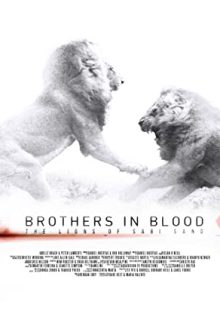 دانلود فیلم برادران تنی: شیر‌های سابی سند Brothers in Blood: The Lions of Sabi Sand 2015 ✔️ با زیرنویس فارسی چسبیده