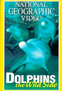 دانلود فیلم دلفین‌ های وحشی Dolphins: The Wild Side 1999 ✔️ با زیرنویس فارسی چسبیده