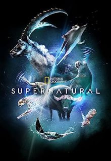 دانلود سریال فوق طبیعی Super/Natural 2022 فصل اول 1 ✔️ با زیرنویس فارسی چسبیده